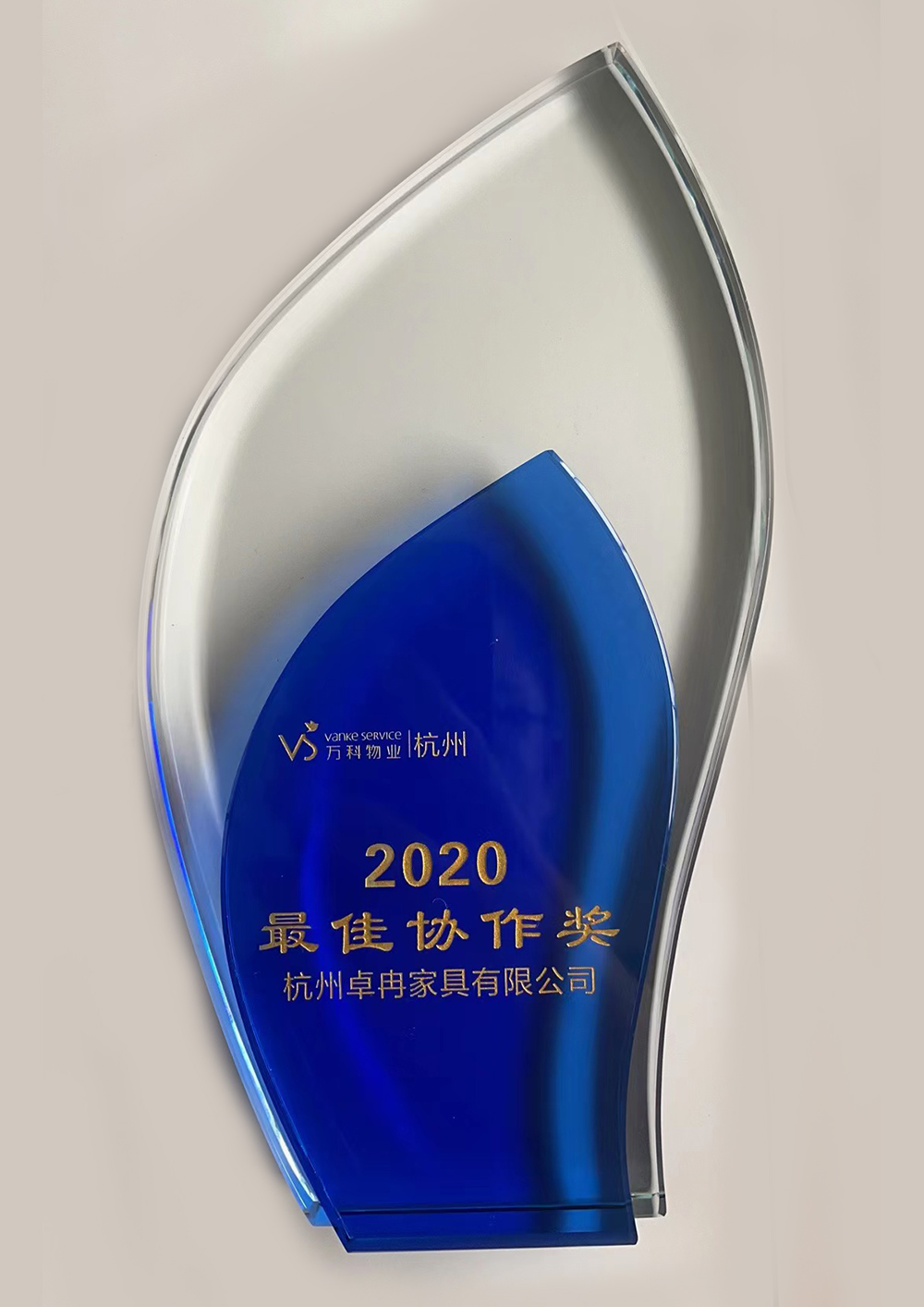 2020年最佳協作獎